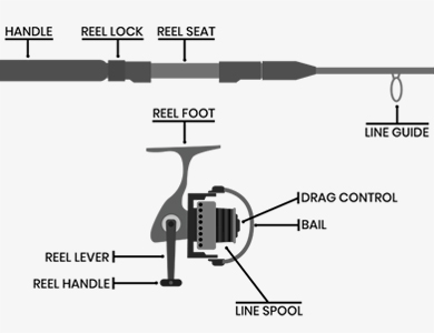 Shop Online Banax Power Liner Telescopic Rods - Marine Hub