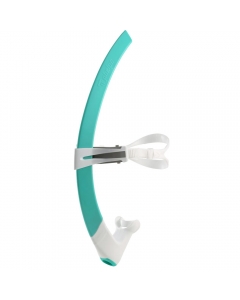 Phelps Focus Snorkel - Turquoise (Size: Small)