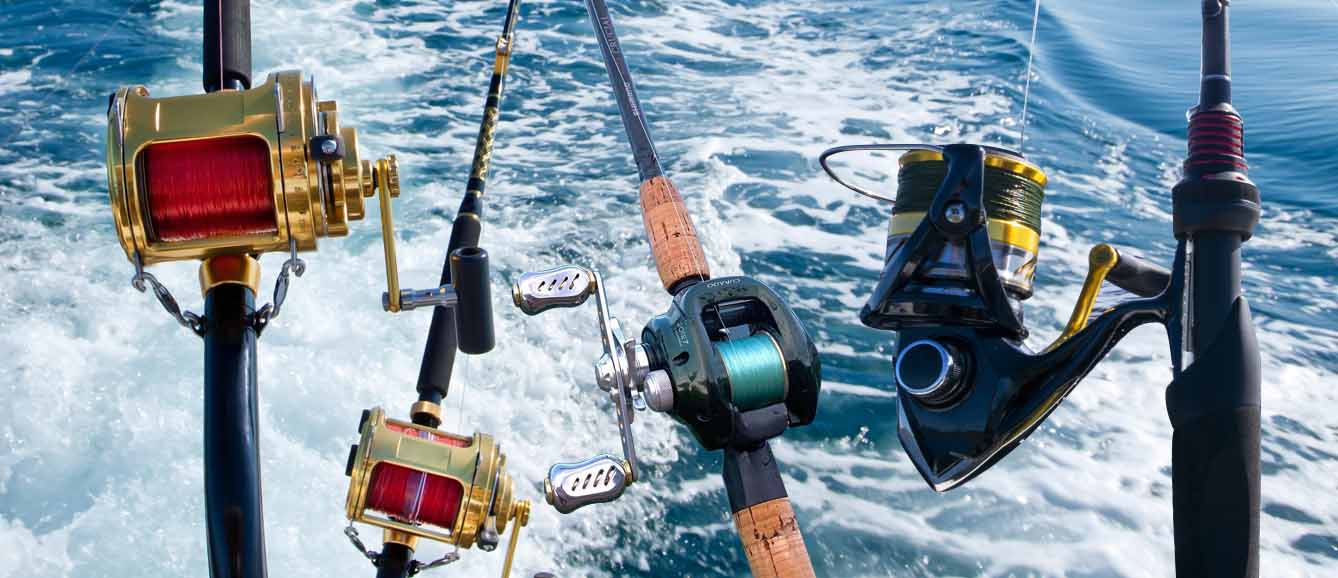 How To Choose A Fishing Reel?